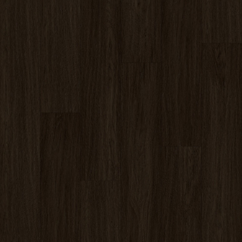 Wenge